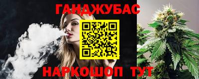 индика Аргун