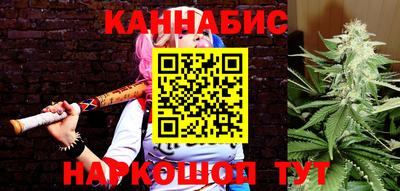 индика Аргун