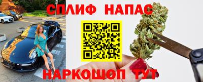 индика Аргун