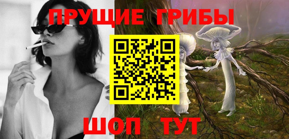 где продают   Псилоцибиновые грибы прущие грибы  Ачхой-Мартан  Галлюциногенные грибы мухоморы 