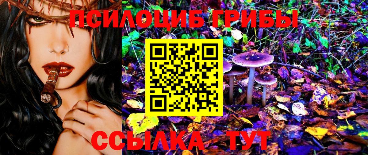 Ачхой-Мартан  закладка  Галлюциногенные грибы Cubensis  Вход с VPN  Галлюциногенные грибы GOLDEN TEACHER 