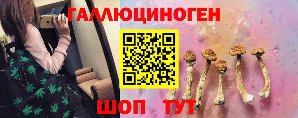 Галлюциногенные грибы Psilocybe Ачхой-Мартан