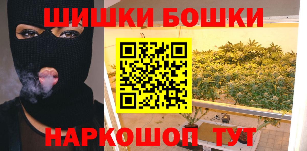 Каннабис Amnesia  Ачхой-Мартан  Конопля семена  Бошки Шишки план 